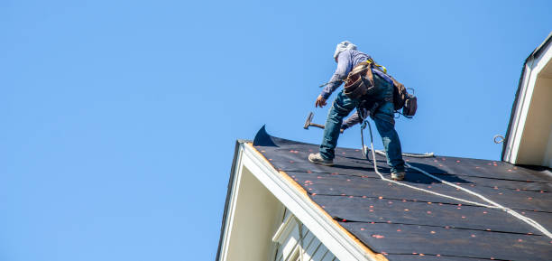 Best Roof Gutter Cleaning  in West Hurley, NY